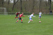 Fuglebakken_Home-80