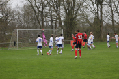 Fuglebakken_Home-98